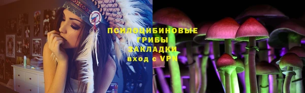круглые Вяземский