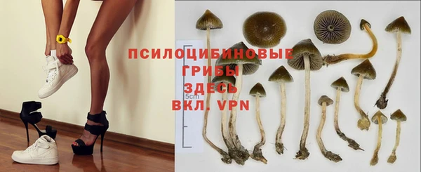 соль ск Вязники