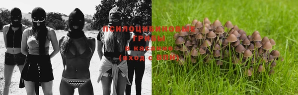 соль ск Вязники