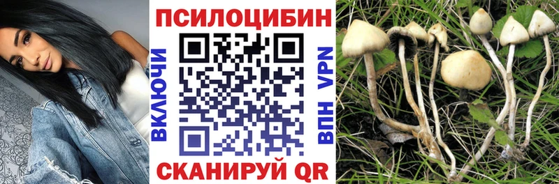 Купить закладки  Мосальск  Псилоцибиновые грибы мицелий 