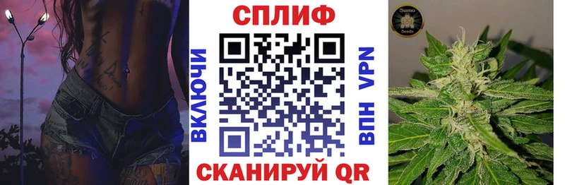Бошки Шишки ГИДРОПОН  Купить закладки  Мосальск 